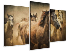 modern-3-piece-canvas-print-painting-wild-horses