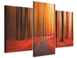 modern-3-piece-canvas-print-path-to-unknown