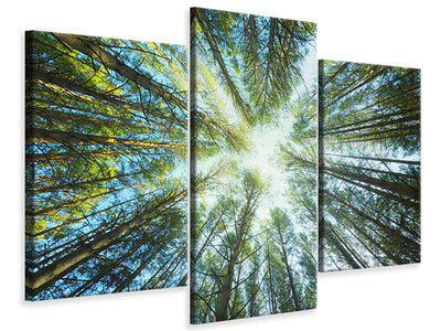modern-3-piece-canvas-print-pine-forest