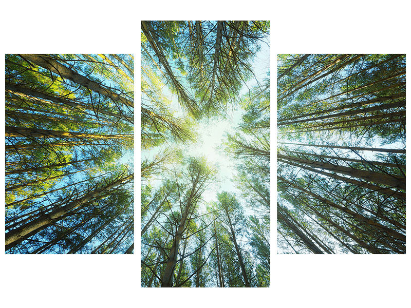 modern-3-piece-canvas-print-pine-forest