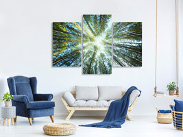 modern-3-piece-canvas-print-pine-forest