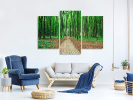 modern-3-piece-canvas-print-pine-forests