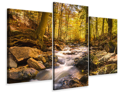 modern-3-piece-canvas-print-real-nature-beauty