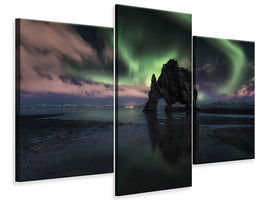 modern-3-piece-canvas-print-rhino-iii