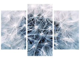 modern-3-piece-canvas-print-ripe-dandelion-close-up