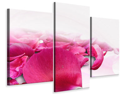 modern-3-piece-canvas-print-rose-petals-in-pink-iii