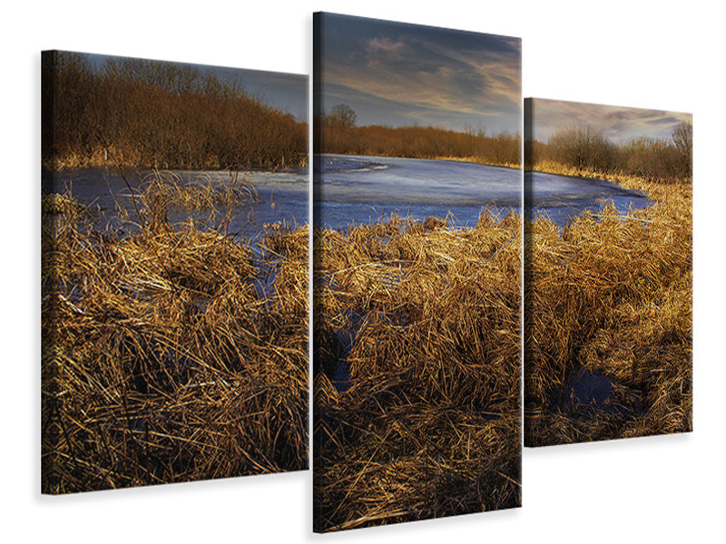 modern-3-piece-canvas-print-rough-nature-landscape