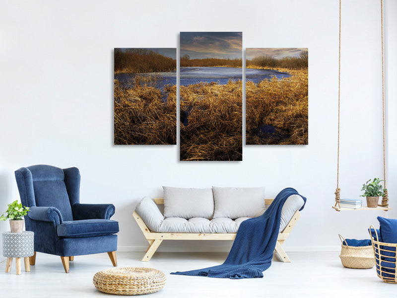 modern-3-piece-canvas-print-rough-nature-landscape