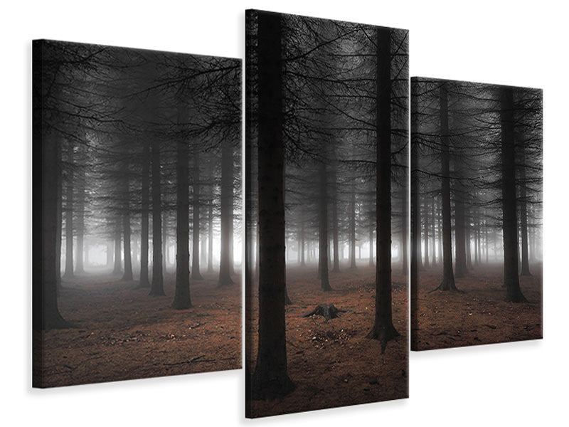 modern-3-piece-canvas-print-silence-ii