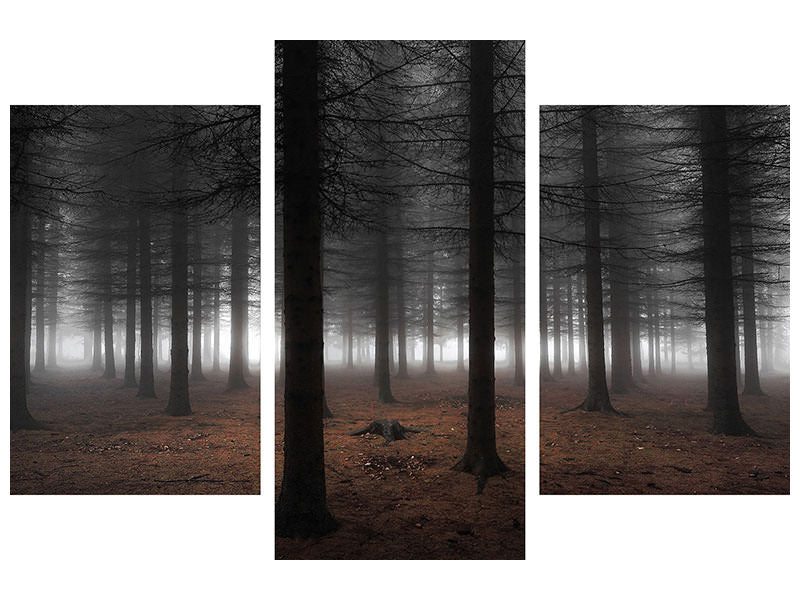 modern-3-piece-canvas-print-silence-ii