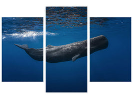 modern-3-piece-canvas-print-sperm-whale