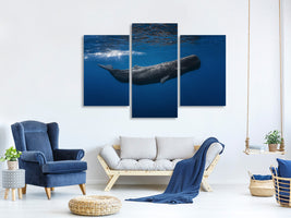 modern-3-piece-canvas-print-sperm-whale