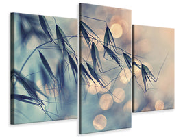 modern-3-piece-canvas-print-straws