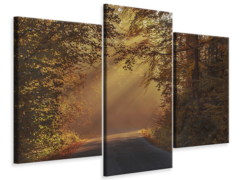 modern-3-piece-canvas-print-sunbeams-in-the-forest