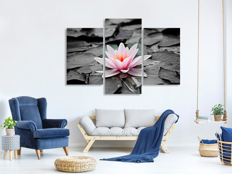 modern-3-piece-canvas-print-the-art-of-water-lily