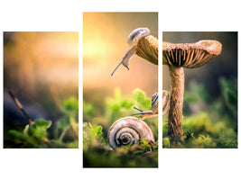 modern-3-piece-canvas-print-the-awakening-of-snails