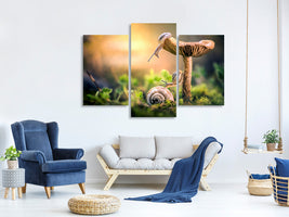 modern-3-piece-canvas-print-the-awakening-of-snails