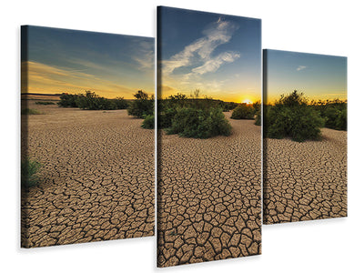modern-3-piece-canvas-print-the-drought