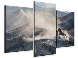 modern-3-piece-canvas-print-the-horseman