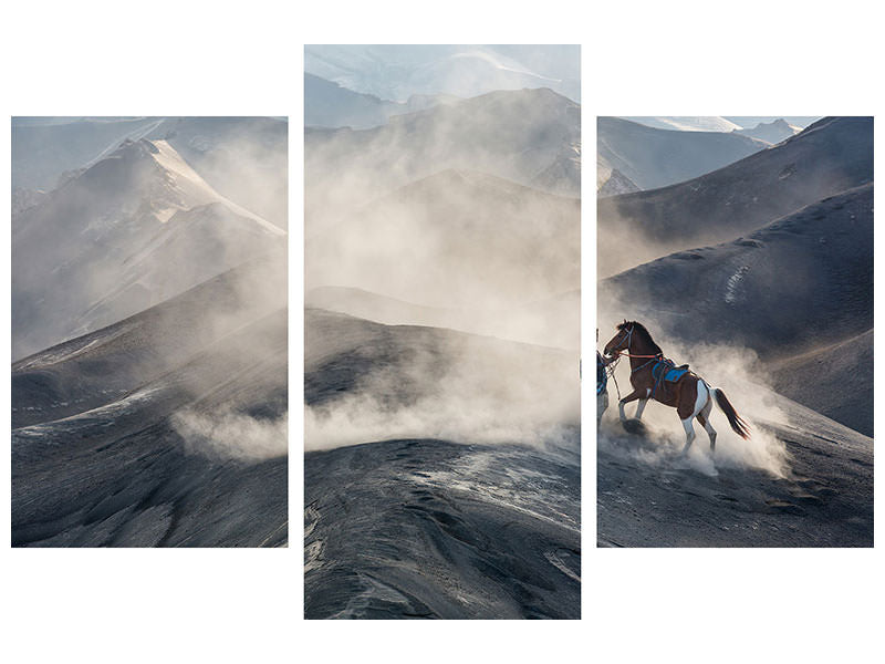 modern-3-piece-canvas-print-the-horseman