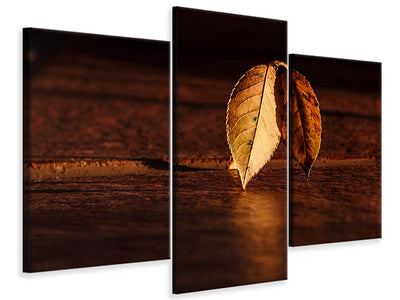 modern-3-piece-canvas-print-the-leaf