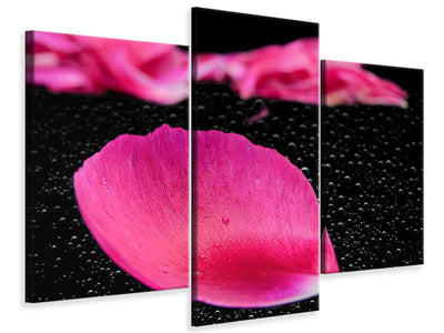 modern-3-piece-canvas-print-the-petals