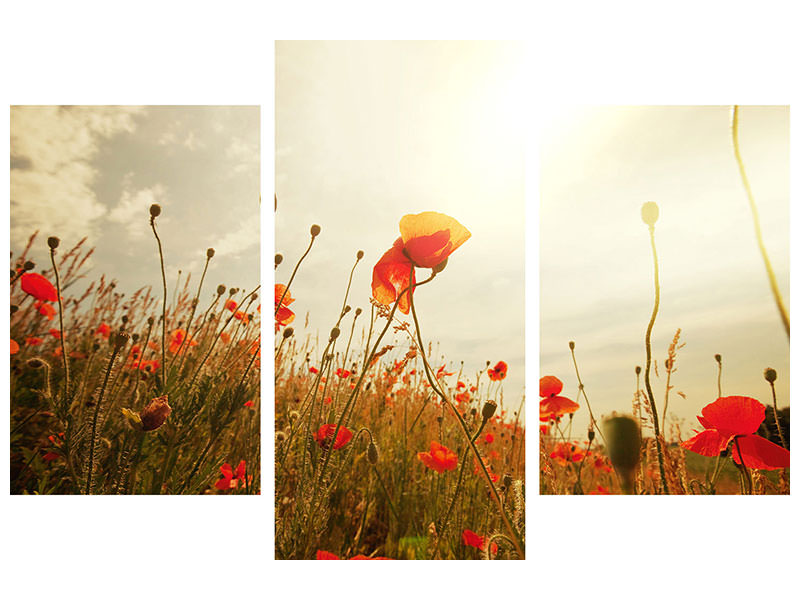 modern-3-piece-canvas-print-the-poppy-field-at-sunrise
