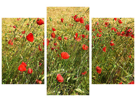 modern-3-piece-canvas-print-the-poppy-in-the-wind