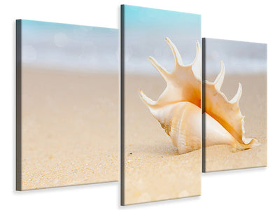 modern-3-piece-canvas-print-the-shell-on-the-beach