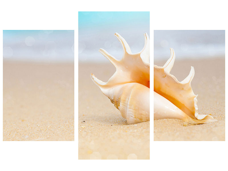 modern-3-piece-canvas-print-the-shell-on-the-beach