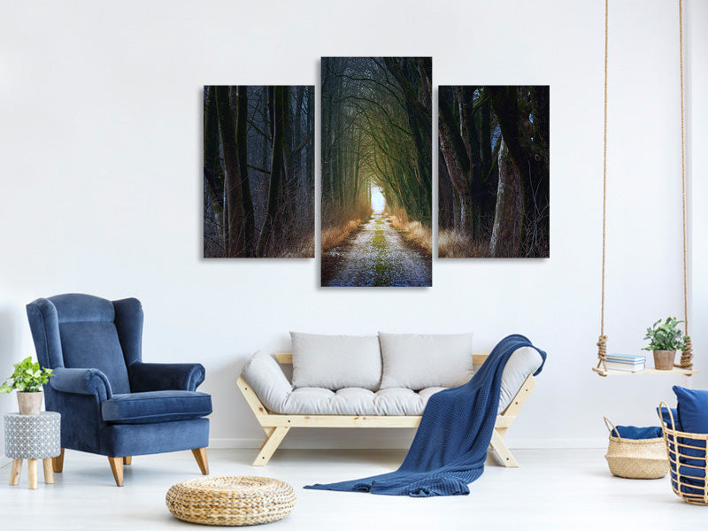 modern-3-piece-canvas-print-the-tree-avenue