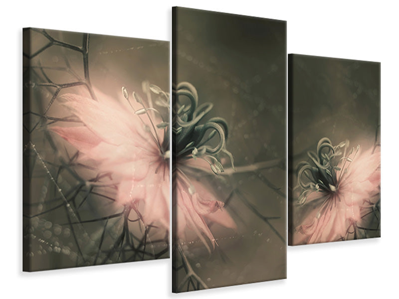 modern-3-piece-canvas-print-the-virgins