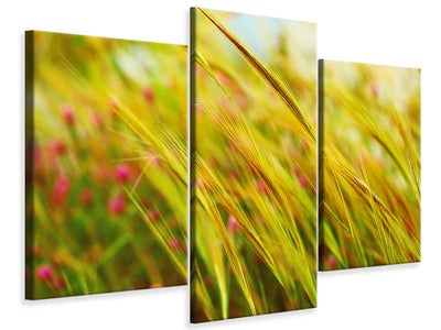 modern-3-piece-canvas-print-the-wheat-field