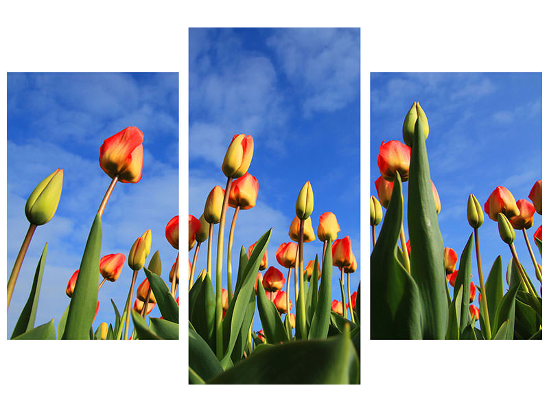 modern-3-piece-canvas-print-tulips-tower-to-the-sky