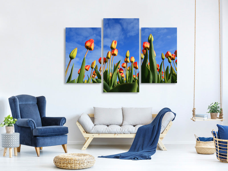 modern-3-piece-canvas-print-tulips-tower-to-the-sky