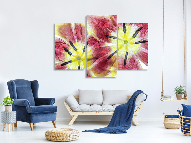 modern-3-piece-canvas-print-tulips