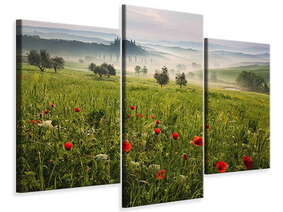 modern-3-piece-canvas-print-tuscan-spring