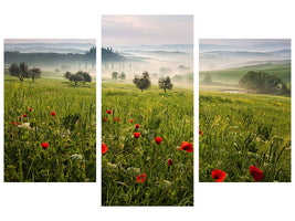 modern-3-piece-canvas-print-tuscan-spring