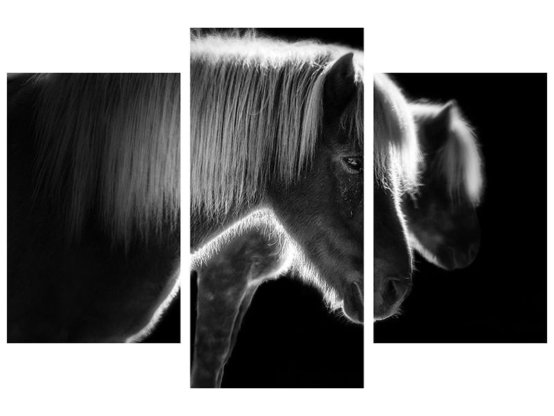 modern-3-piece-canvas-print-two-beautiful-horses