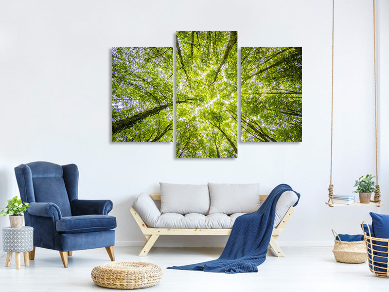 modern-3-piece-canvas-print-under-the-treetops