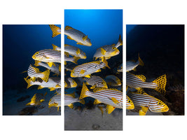 modern-3-piece-canvas-print-underwater-photography-indian-ocean-sweetlips