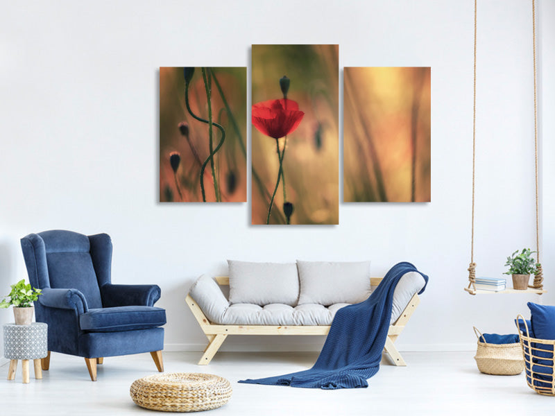 modern-3-piece-canvas-print-untitled-xxviii