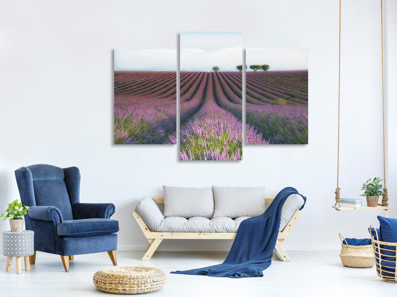 modern-3-piece-canvas-print-velours-de-lavender