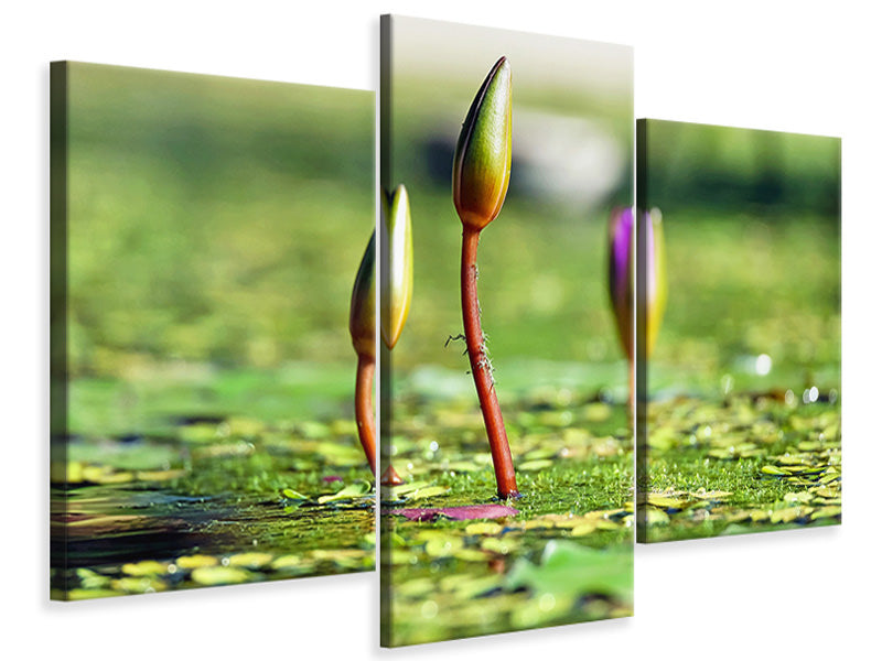 modern-3-piece-canvas-print-water-lilies-in-xl