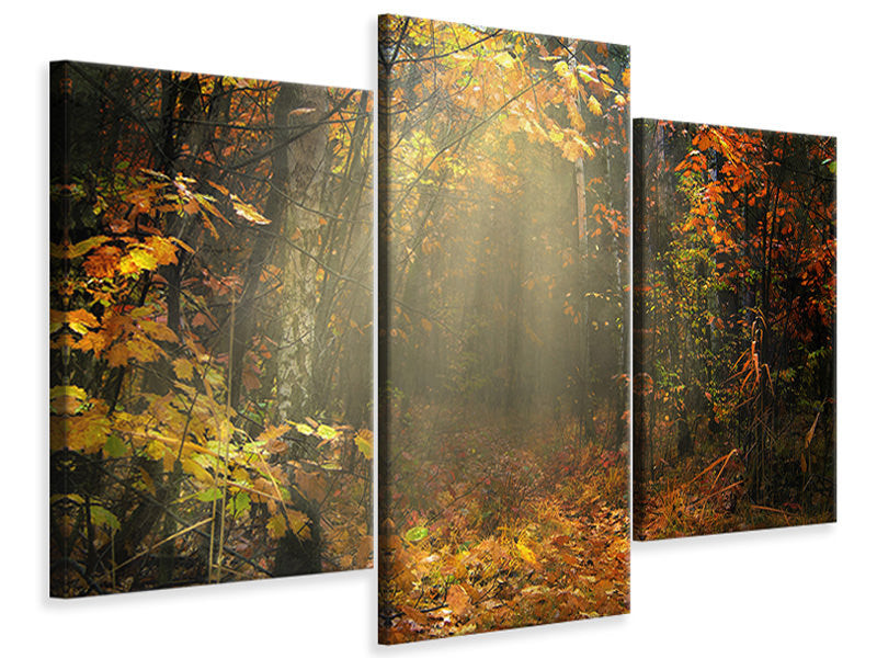 modern-3-piece-canvas-print-we-love-autumn