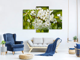 modern-3-piece-canvas-print-white-flowers-in-xl