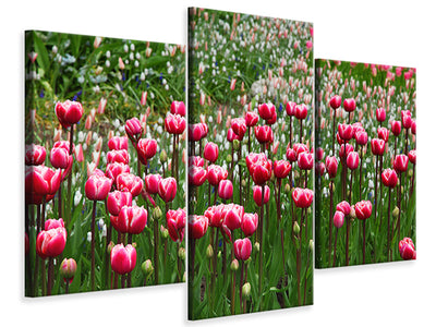 modern-3-piece-canvas-print-wild-tulip-field
