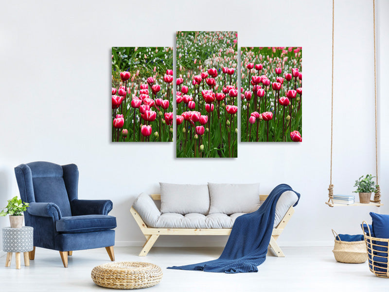 modern-3-piece-canvas-print-wild-tulip-field