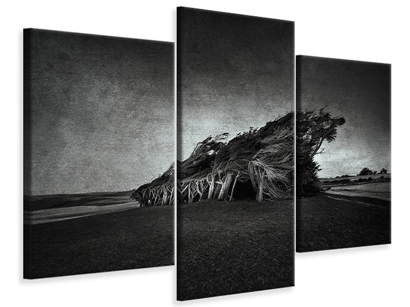 modern-3-piece-canvas-print-wind-blown