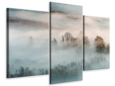 modern-3-piece-canvas-print-winter-fog